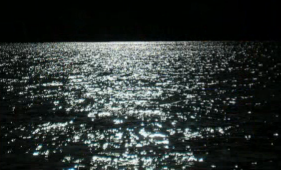 dark_waters.