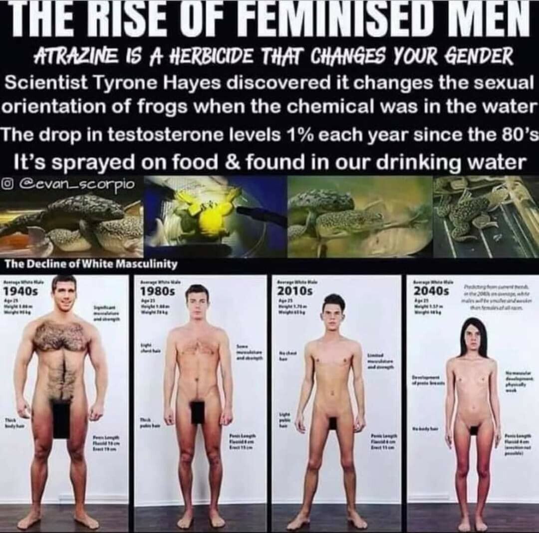declineofmales.