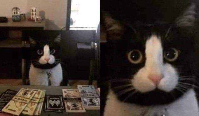 dickface.