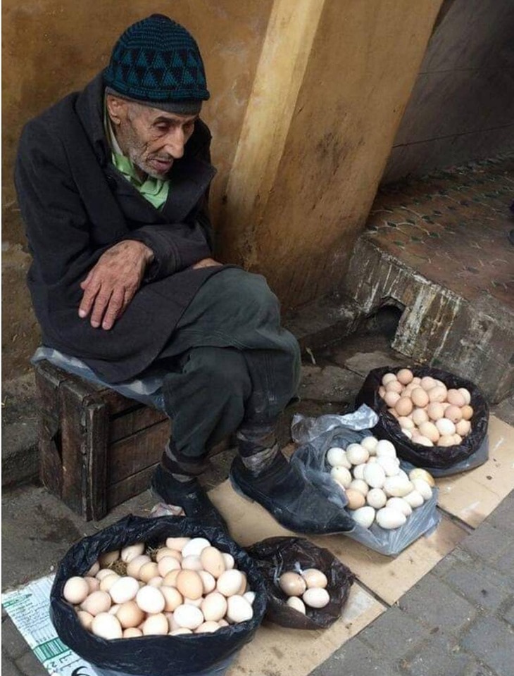 eggseller.