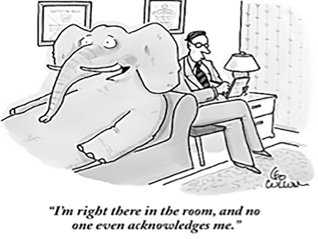 Elephant-in-the-Room.