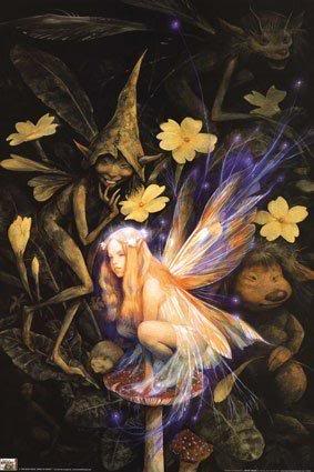 FAERIES.