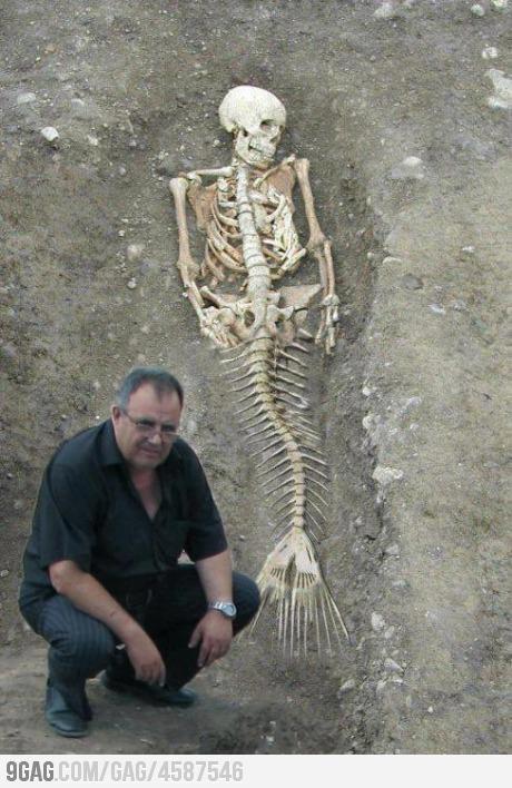 Fake%2Bmermaid%2Bskeleton.