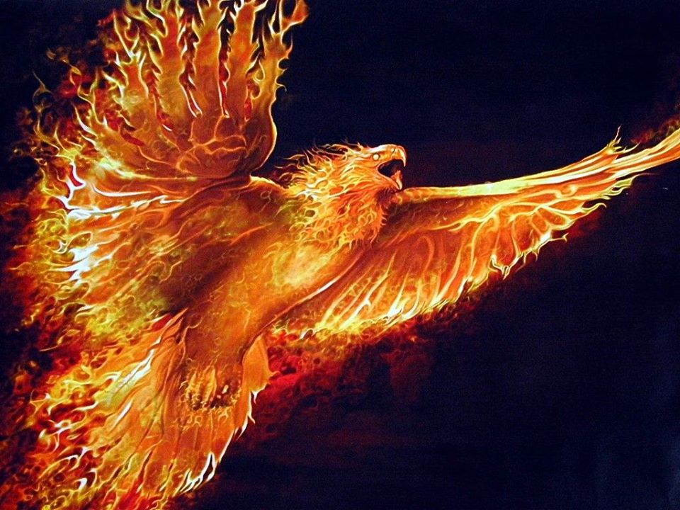 firebird.