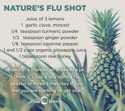 flushotnatureway.