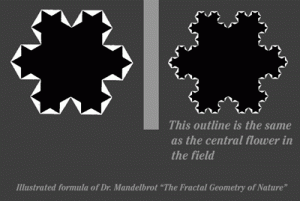 fractal11-300x201.