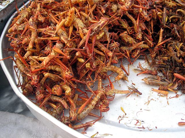 Fried_grasshoppers_in_Bangkok.