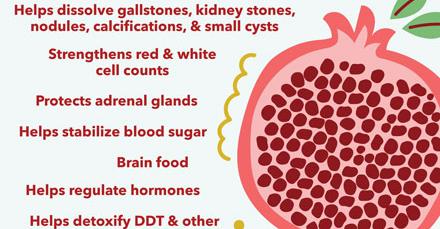 g-images-optimised%2Fpomegranates-healing-food.&fb_obo=1&utld=medicalmedium.com&stp=c0.5000x0.