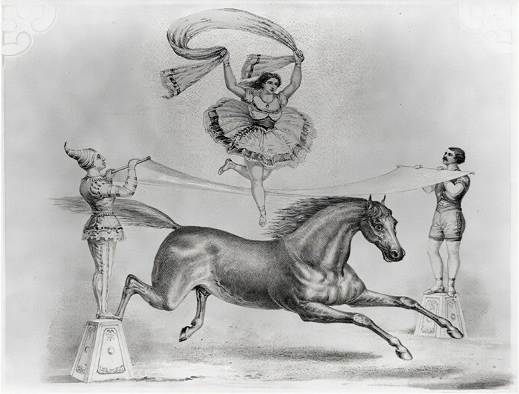 g&riu=http%3a%2f%2flcweb2.loc.gov%2fservice%2fpnp%2fcph%2f3a00000%2f3a04000%2f3a04900%2f3a04995r.