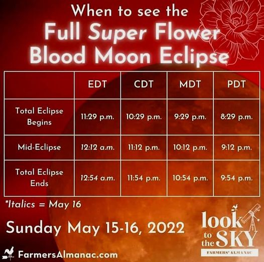 g_p526x296&_nc_cat=101&ccb=1-6&_nc_sid=730e14&_nc_ohc=v1IBv_v_VK0AX_gc4TB&_nc_ht=scontent-yyz1-1.