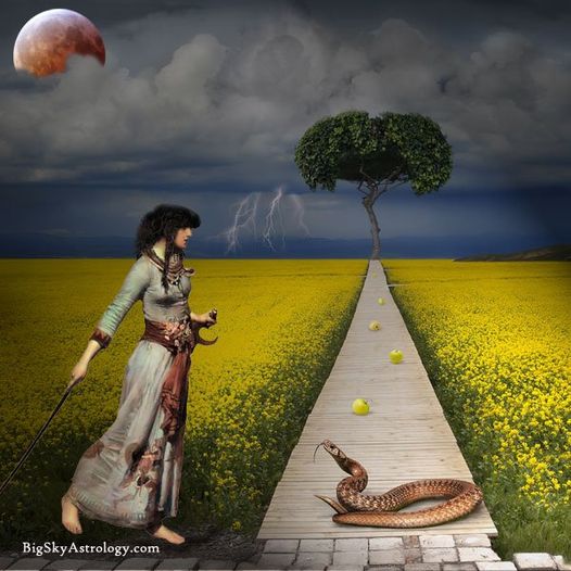 g_p526x296&_nc_cat=104&ccb=1-6&_nc_sid=730e14&_nc_ohc=LMPDczr_IXIAX_4Umdr&_nc_ht=scontent-yyz1-1.