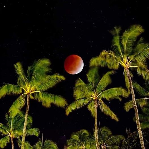 g_p526x296&_nc_cat=105&ccb=1-6&_nc_sid=0debeb&_nc_ohc=FeAIIa_233QAX98PBql&_nc_ht=scontent-yyz1-1.