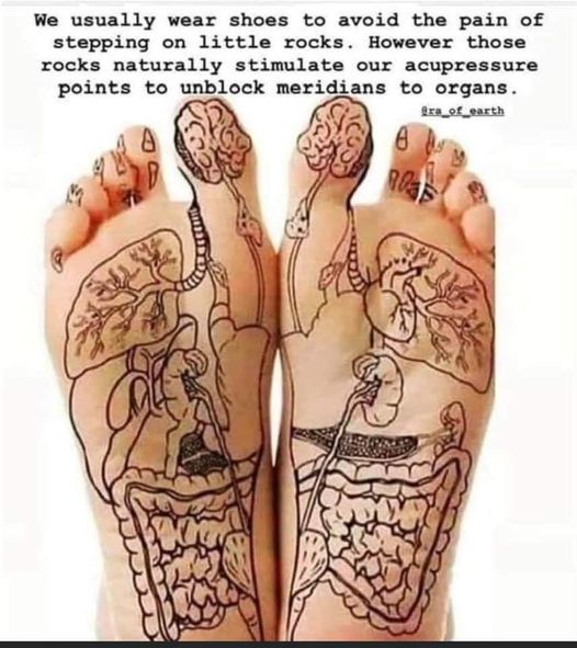 g_p526x296&_nc_cat=106&ccb=1-7&_nc_sid=730e14&_nc_ohc=X9GIKiLJ6yEAX_UFHFS&_nc_ht=scontent-yyz1-1.