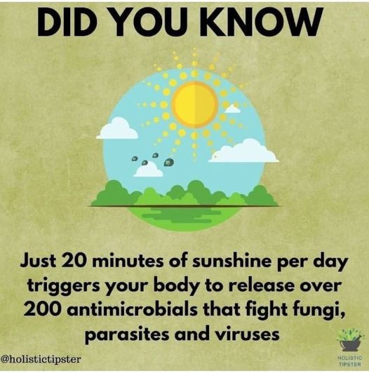 g_p526x296&_nc_cat=110&ccb=1-7&_nc_sid=730e14&_nc_ohc=6rKpUclUClYAX9hN2SR&_nc_ht=scontent-yyz1-1.