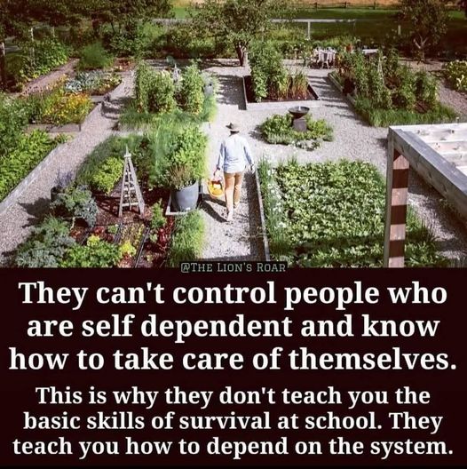 g_p526x296&_nc_cat=110&ccb=1-7&_nc_sid=730e14&_nc_ohc=B5b1CT2-1GMAX_GGdQl&_nc_ht=scontent-yyz1-1.