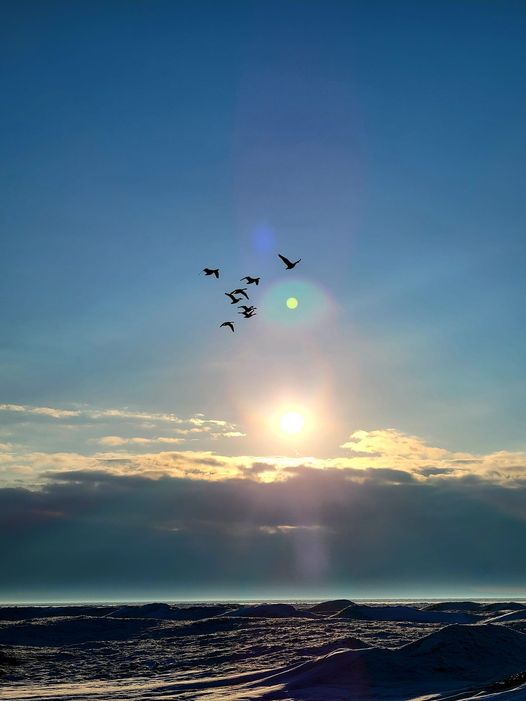 g_p526x296&_nc_cat=111&ccb=1-5&_nc_sid=5cd70e&_nc_ohc=QIm0BADOQHsAX96TzDq&_nc_ht=scontent-yyz1-1.