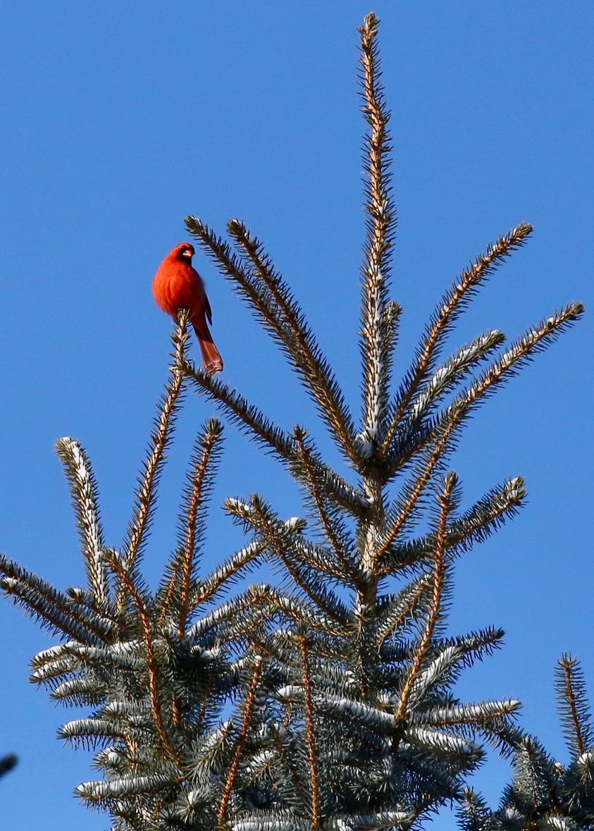 g_p843x403&_nc_cat=105&ccb=1-7&_nc_sid=825194&_nc_ohc=_nnJgoefDsIAX9sp929&_nc_ht=scontent-yyz1-1.