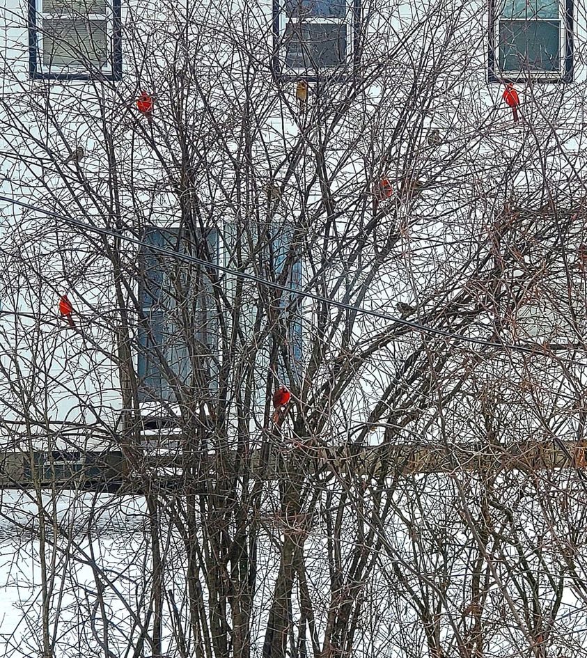 g_p843x403&_nc_cat=110&ccb=1-7&_nc_sid=8bfeb9&_nc_ohc=_HG3ighoJ_0AX_I_qLr&_nc_ht=scontent-yyz1-1.