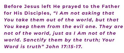 g_s403x403&_nc_cat=106&ccb=1-7&_nc_sid=dbeb18&_nc_ohc=obhtGf3dK-oAX_i-49o&_nc_ht=scontent-yyz1-1.