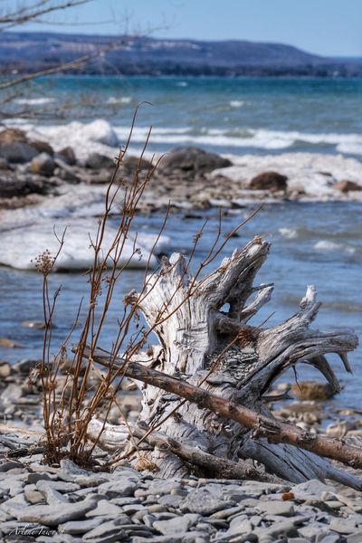 g_s600x600&_nc_cat=103&ccb=1-5&_nc_sid=5cd70e&_nc_ohc=jcHi5ASsWfUAX-k5JN6&_nc_ht=scontent-yyz1-1.