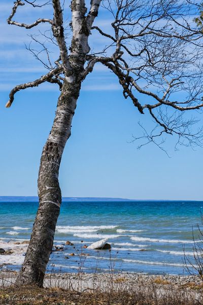 g_s600x600&_nc_cat=104&ccb=1-5&_nc_sid=5cd70e&_nc_ohc=seEhRRhDu44AX8JxxXs&_nc_ht=scontent-yyz1-1.