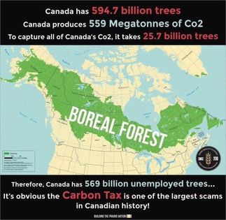 g_s851x315&_nc_cat=110&ccb=1-7&_nc_sid=dbeb18&_nc_ohc=KqFSwRaVNE4AX9NzUgD&_nc_ht=scontent-yyz1-1.