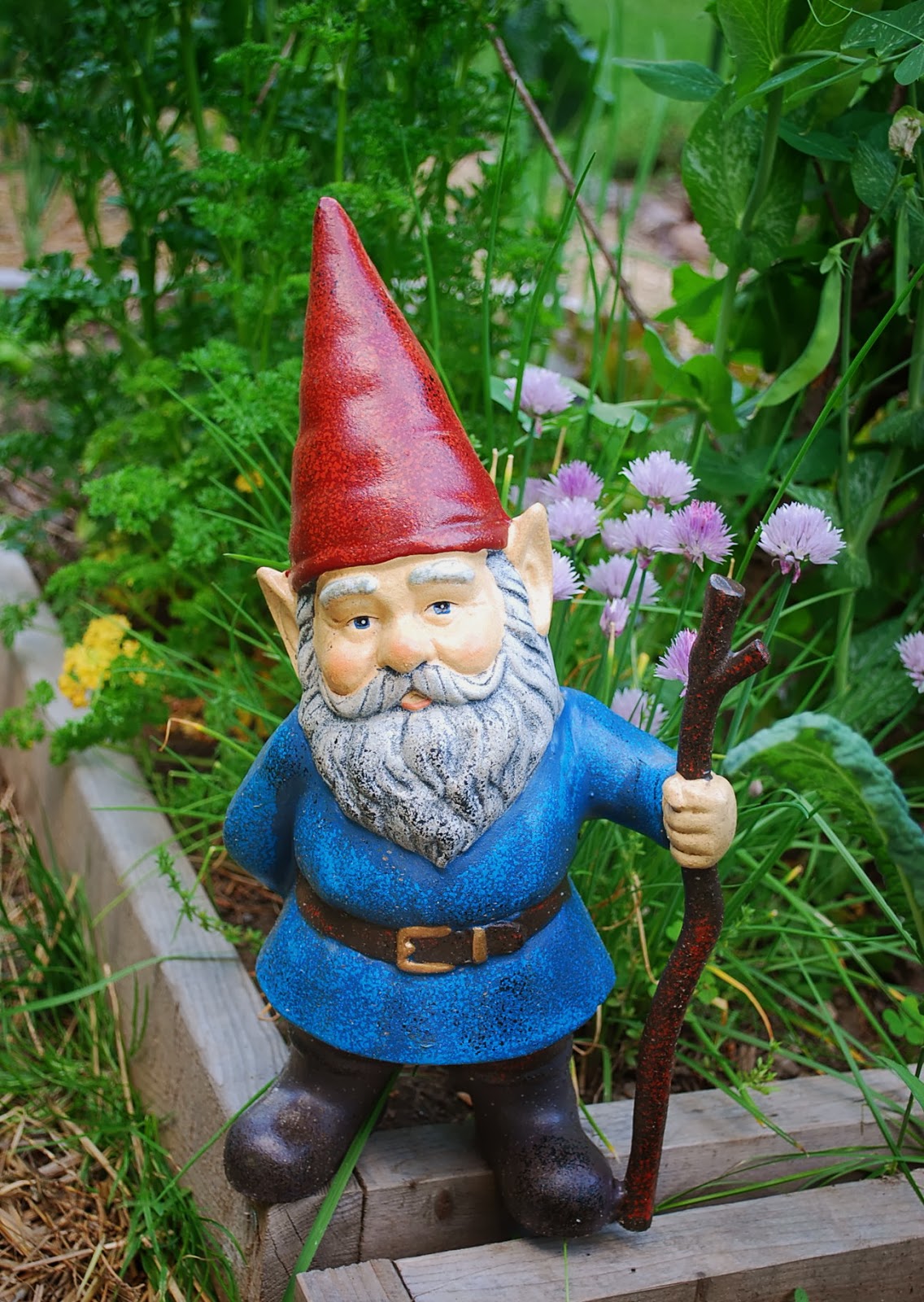 garden+gnome+beckons.