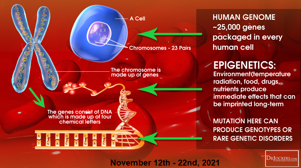 genemutation.