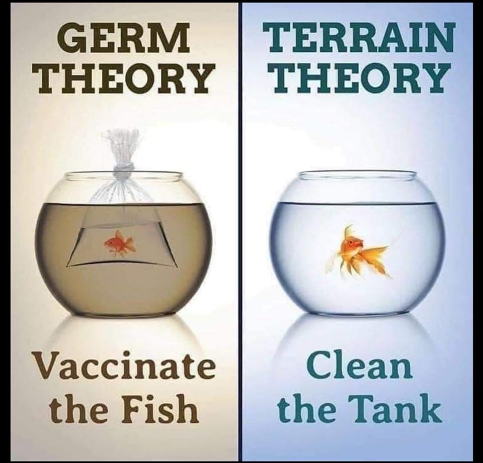 germtheory.