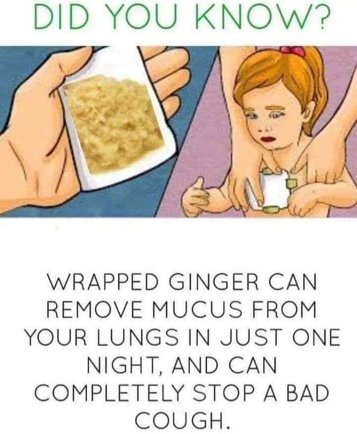 gingerwrap.