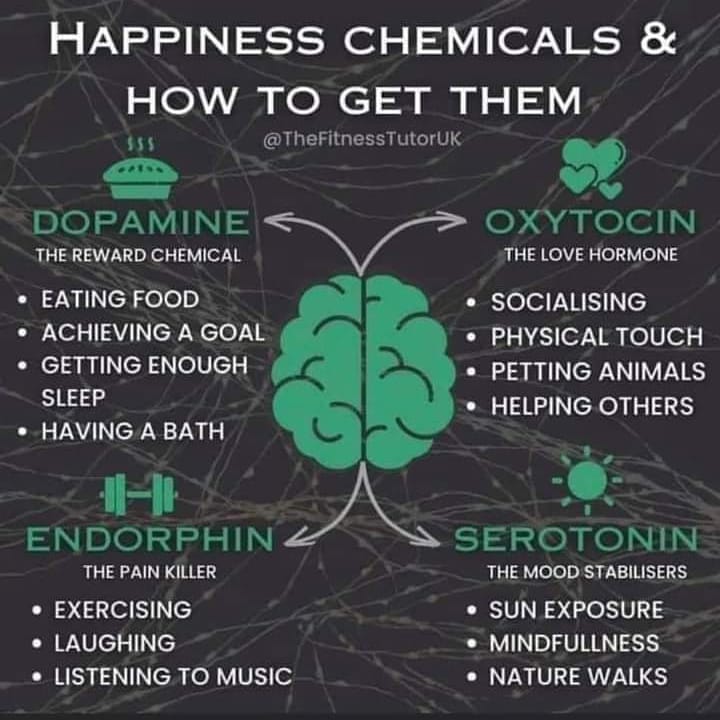 happinesschem.