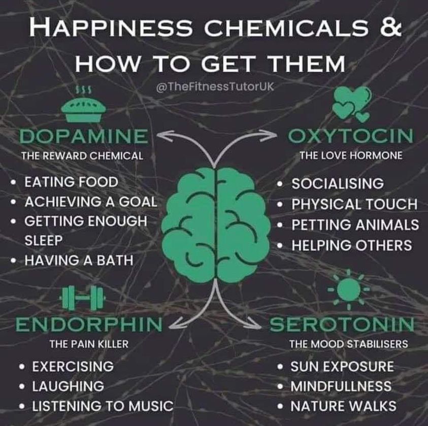 happinesschemicals.
