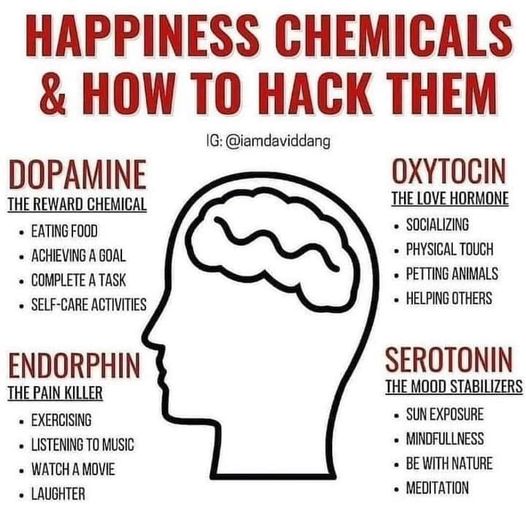 happinesschemicals.
