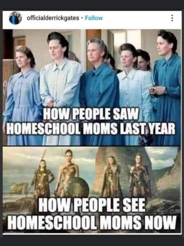 homeschoolmumstherealheroes.