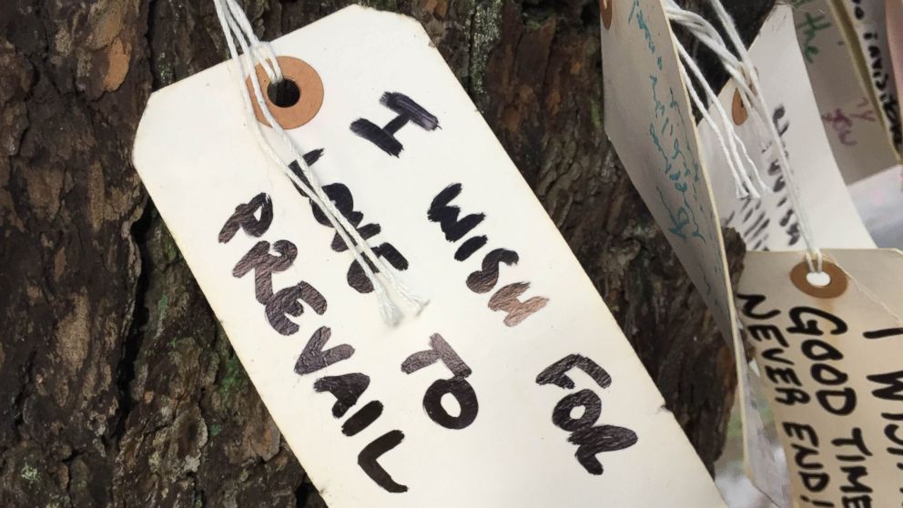 HT_wishing_tree_2_jt_160812_16x9_992.