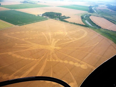 Human+Butterfly+Crop+Circle+Netherlands.