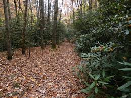 images?q=tbn:ANd9GcQpsZkxip_56NwDRzALCcHzZB9bzEWqNERTWclMYXKrQIjmrG4EEA.