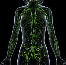 images?q=tbn:ANd9GcRt7gExzOy5ltSs31-joApK_BPPw1VWq7X1R2NX1TOgponuSIa0.