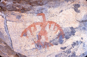 INS988_Three-toedThunderbird,WabawakasikLake-1965b.