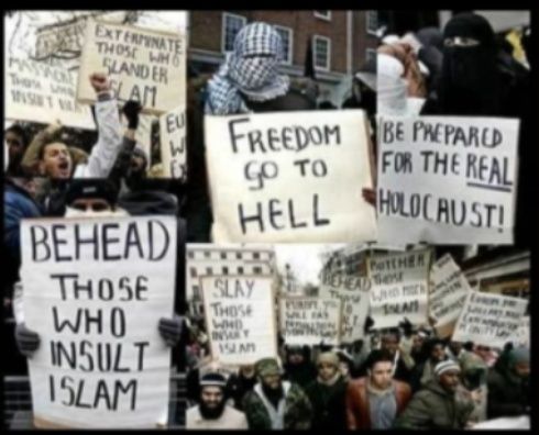 islam610.