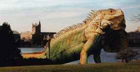 ivanlagoon-dragon.