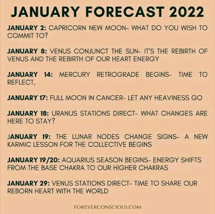 januaryforecastforeverconscious.