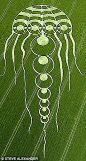 Jellyfish+Crop+Circle.