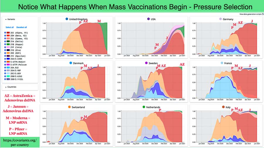 mass-vaxx-pressure.