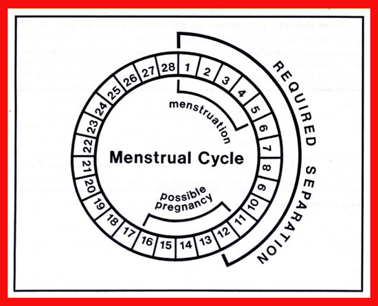 menstrual%20cycle100.