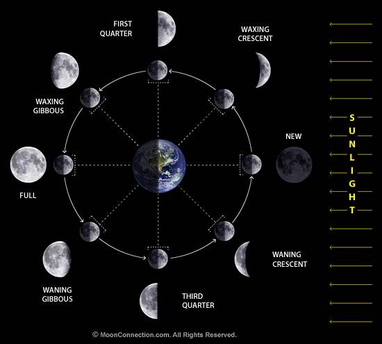 moon_phases_diagram.