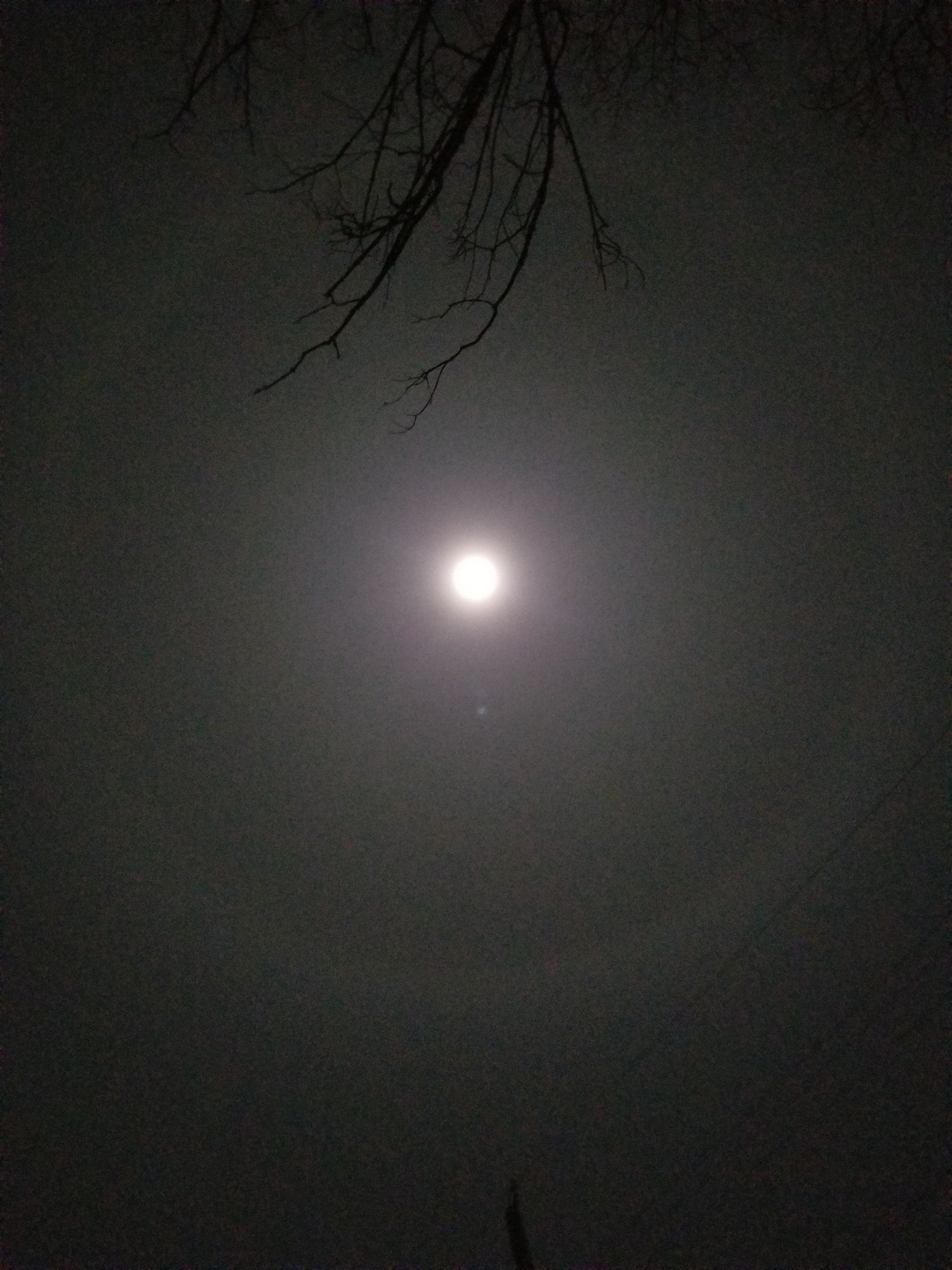 moondog29dec2020slm.