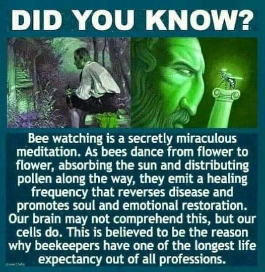 nc_oc=AQk5xrPvi-PYEO3P8lgvbR4z_ZDrz7d6Z4lHrcWYpqtBbFVoDH9Pat-0Wy3V1p-lLys&_nc_ht=scontent-yyz1-1.