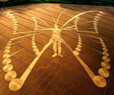 Netherlands+Butterfly+Metamorphosis+Transformation+Crop+Circle.