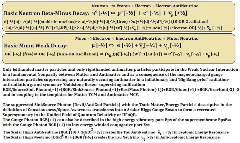 neutrinoweakon2.